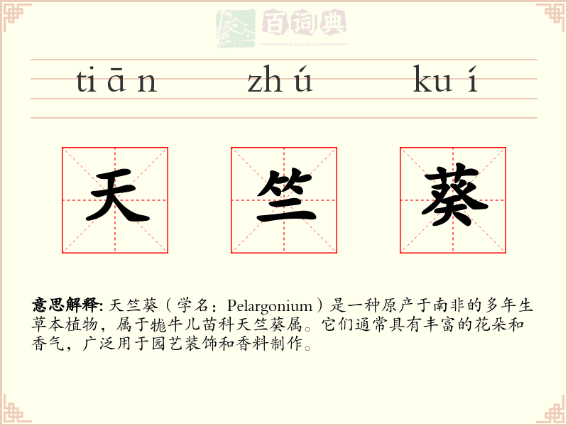 天竺葵