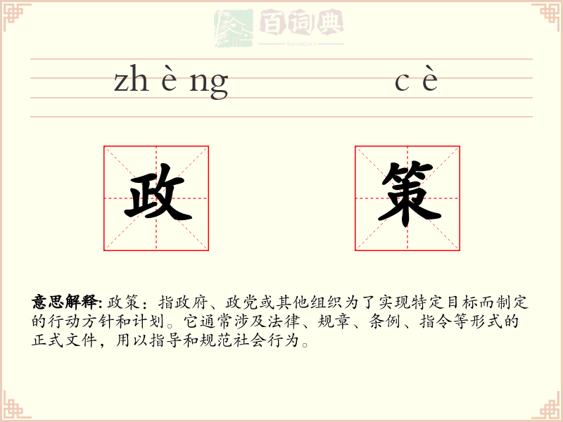 政策