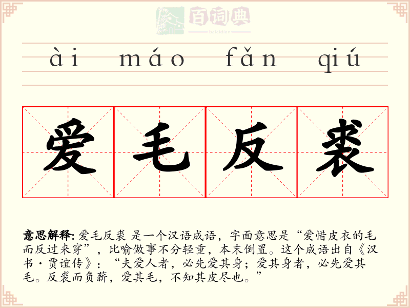 爱毛反裘