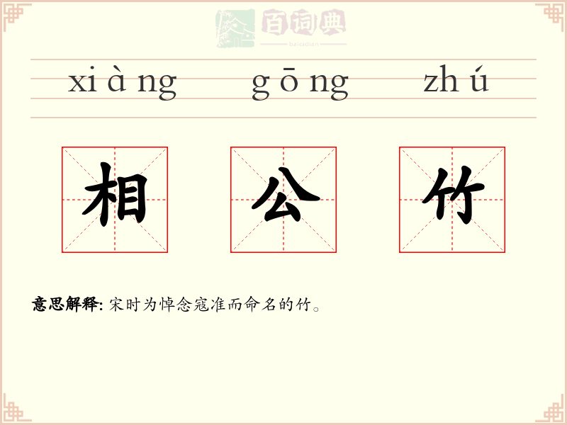 相公竹