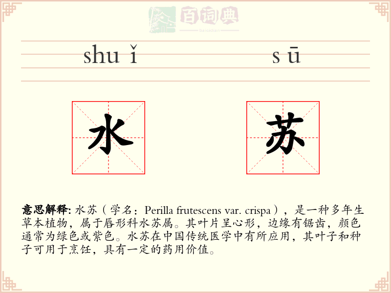 水苏