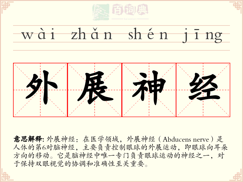 外展神经
