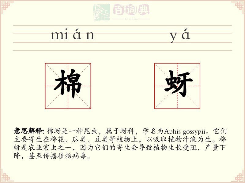 棉蚜