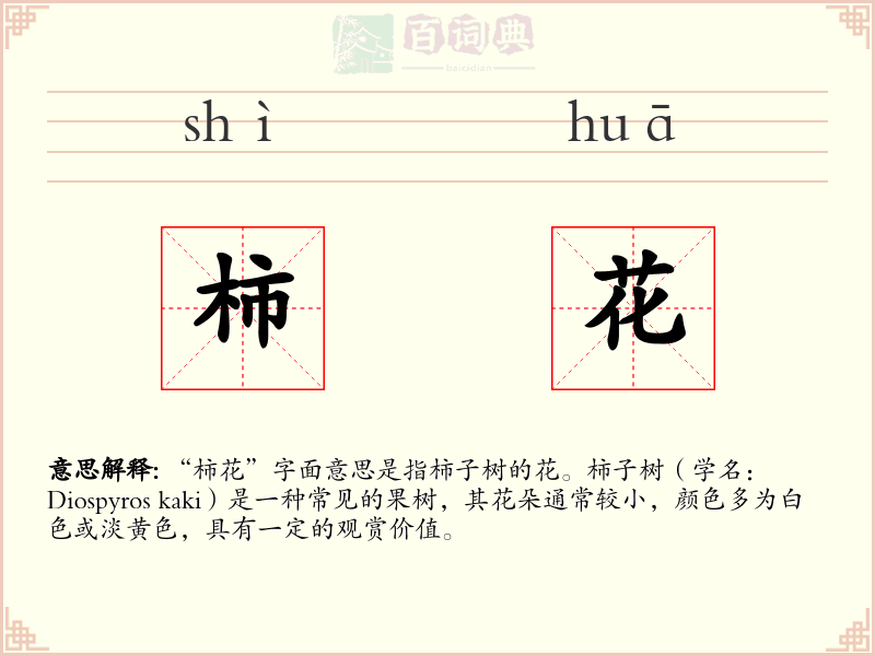 柿花