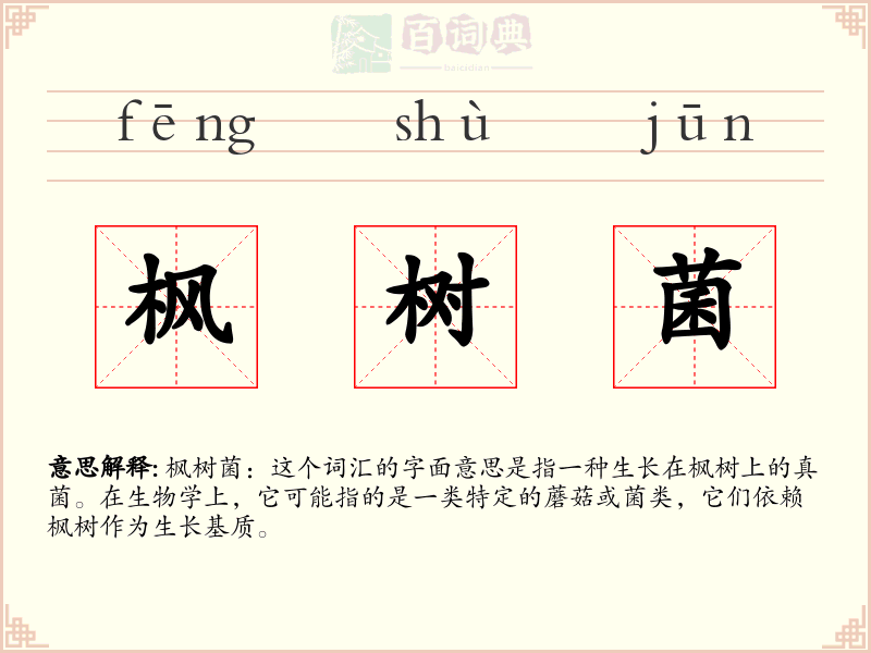 枫树菌