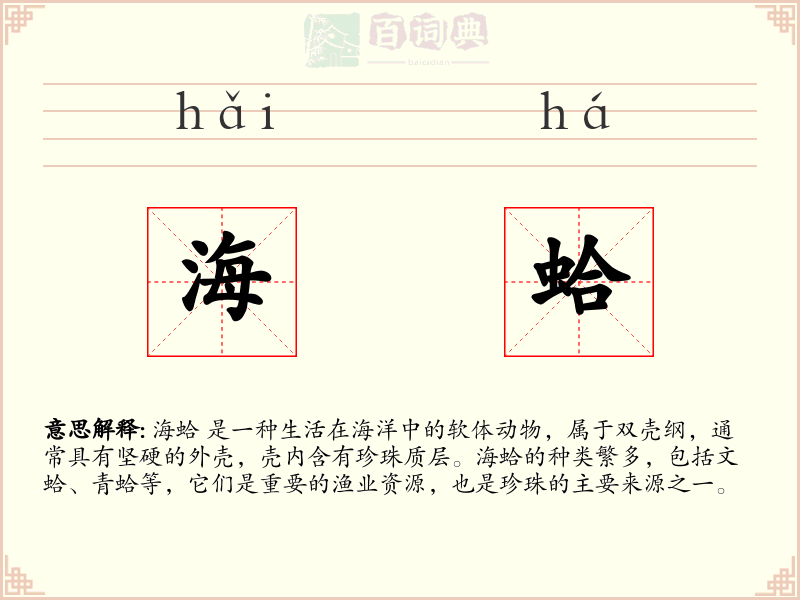 海蛤