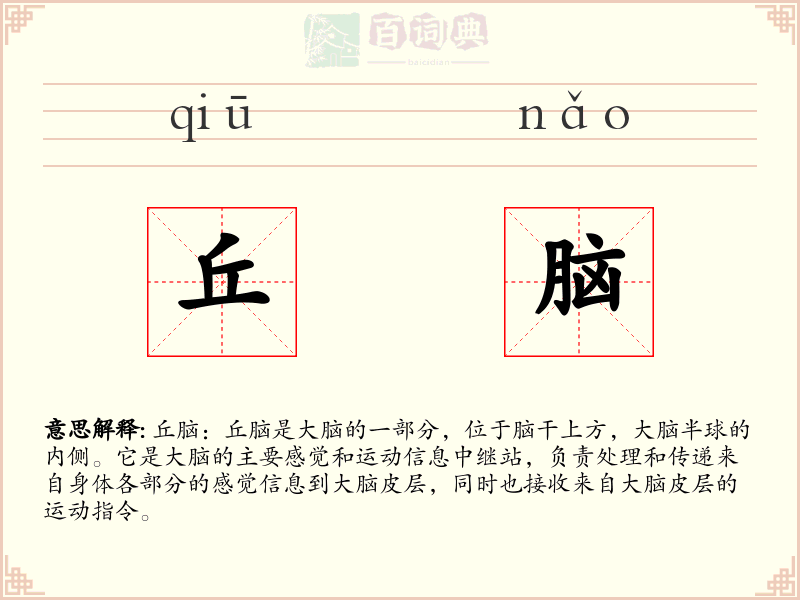 丘脑