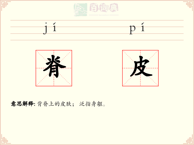 脊皮