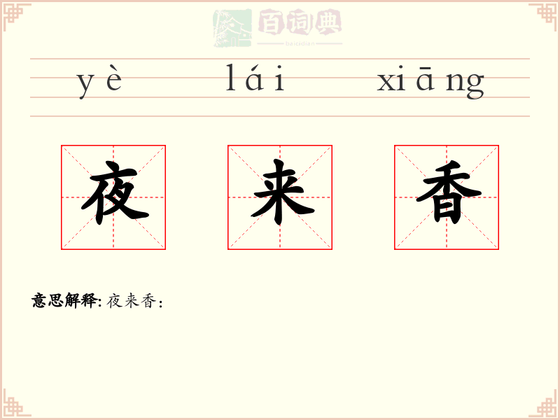 夜来香