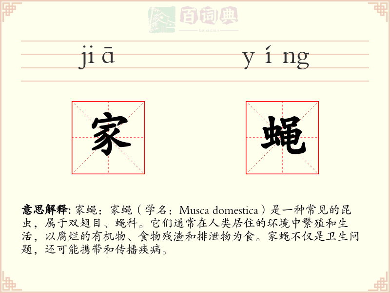 家蝇
