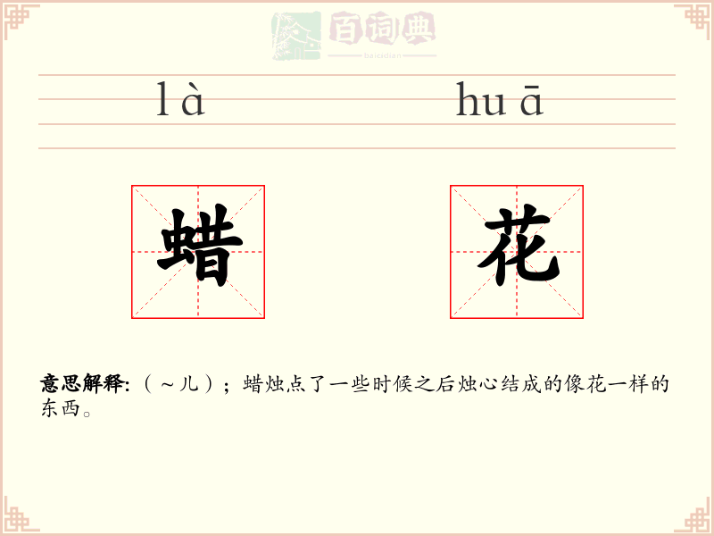 蜡花