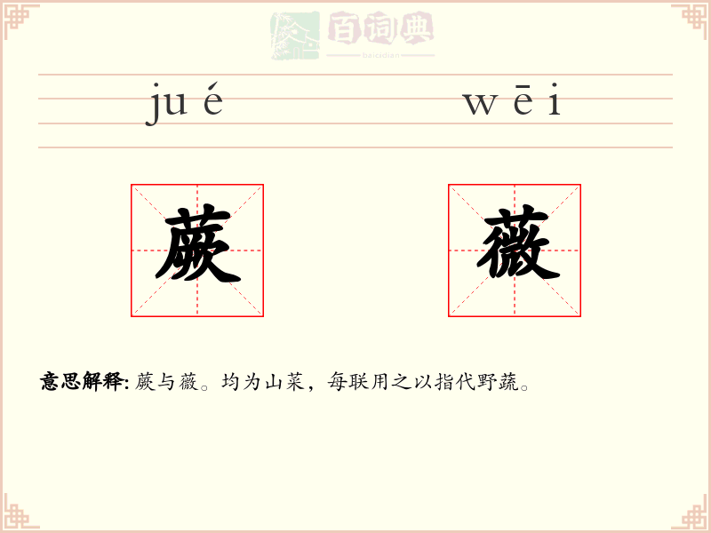 蕨薇