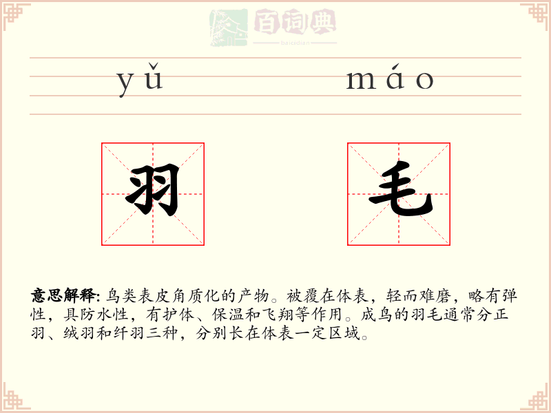 羽毛