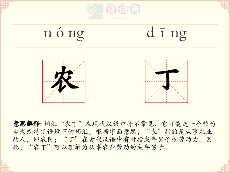 农丁