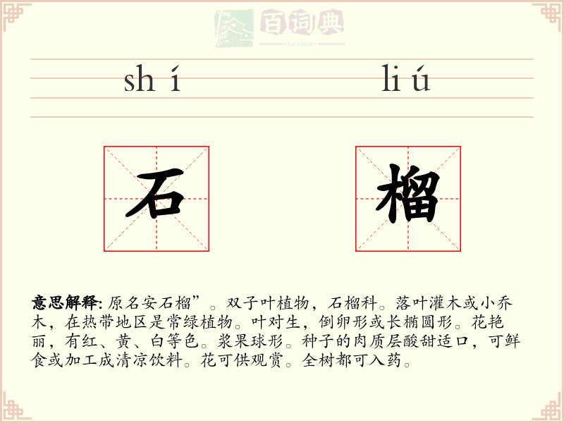 石榴