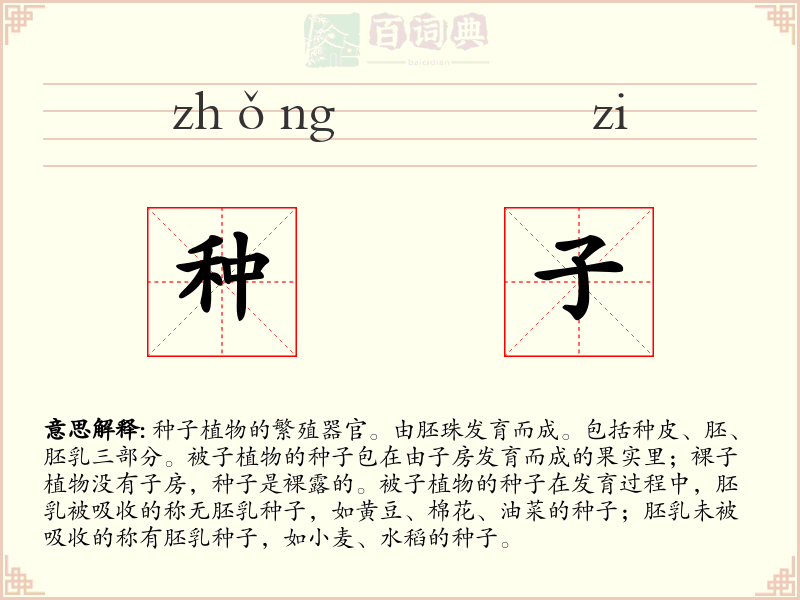 种子