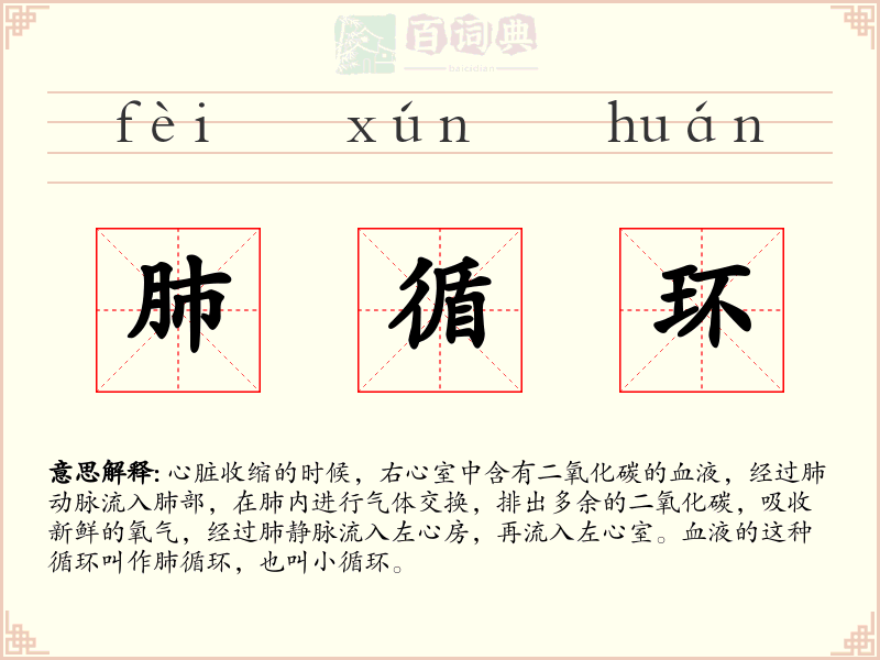 肺循环