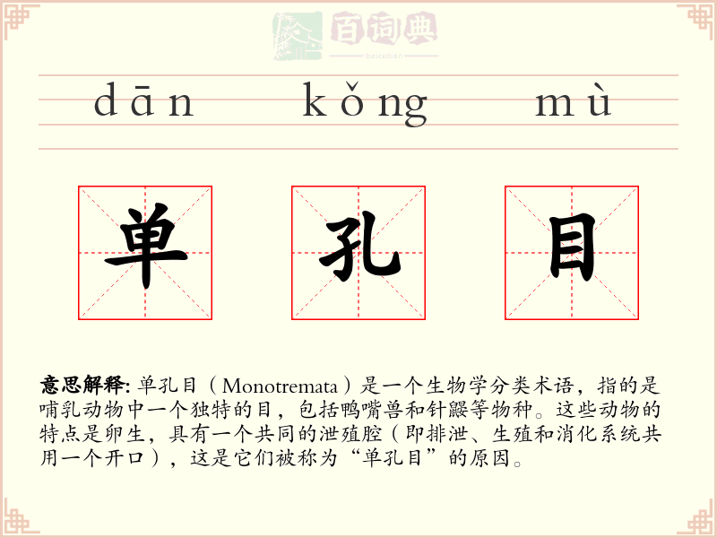 单孔目