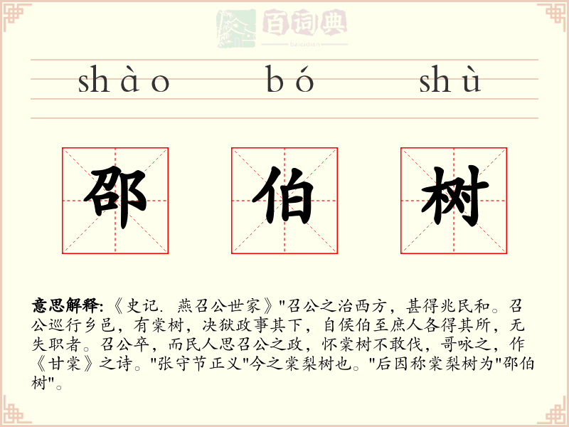 邵伯树
