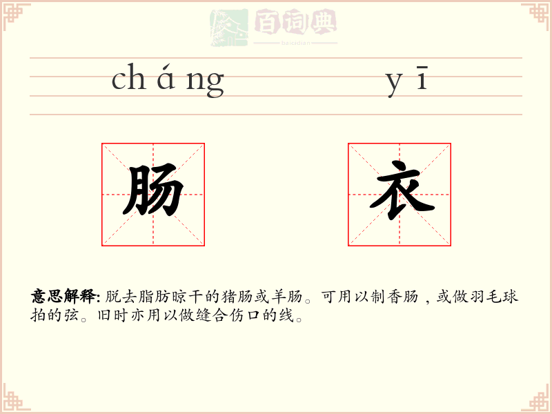 肠衣