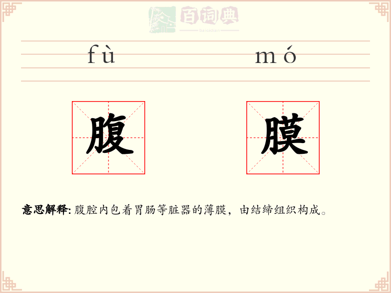 腹膜
