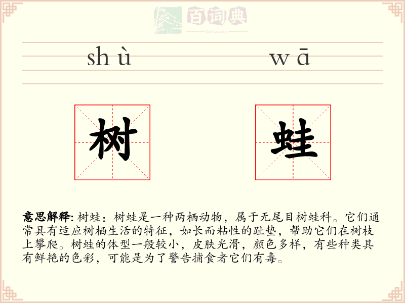 树蛙
