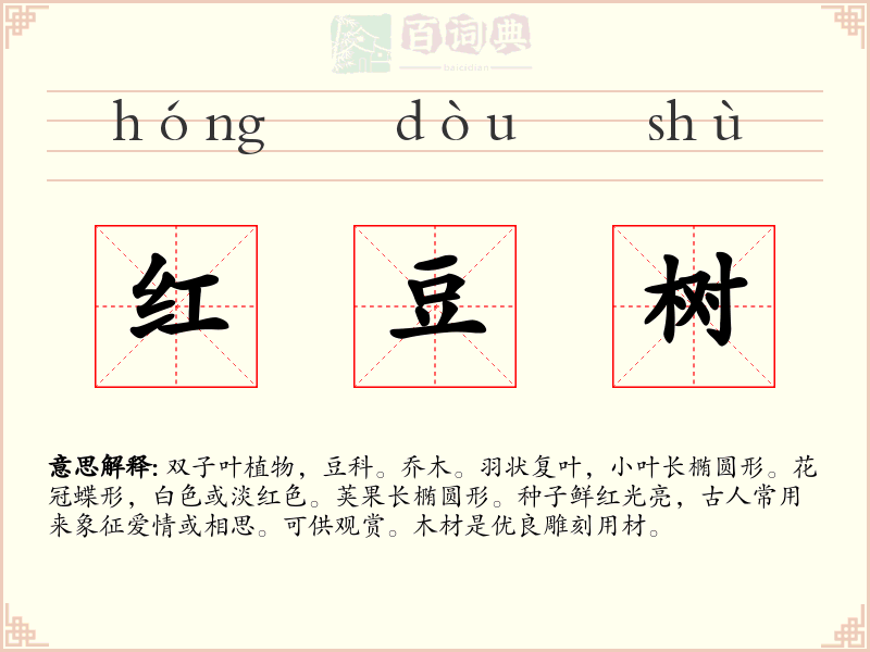 红豆树