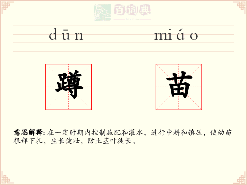 蹲苗