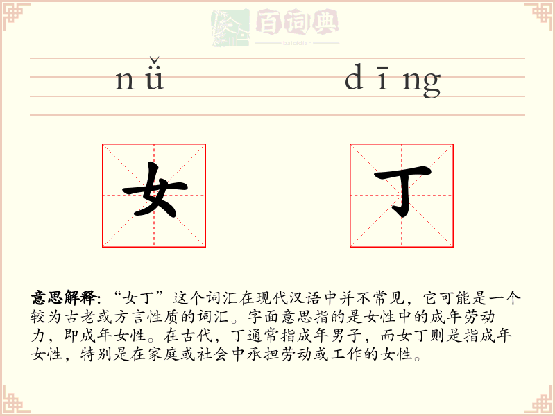 女丁