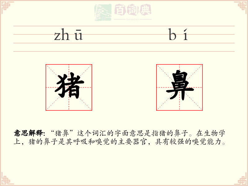 猪鼻