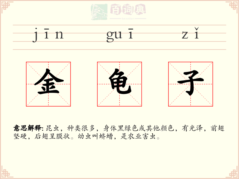 金龟子