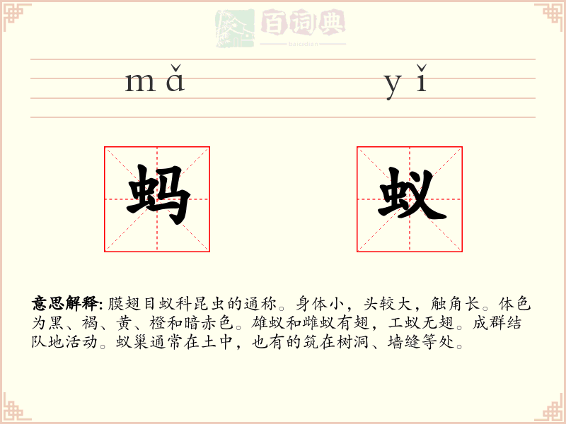 蚂蚁