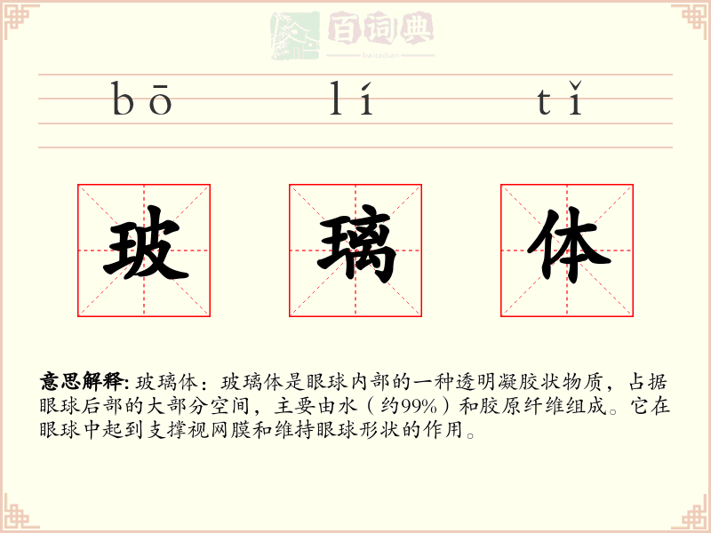 玻璃体
