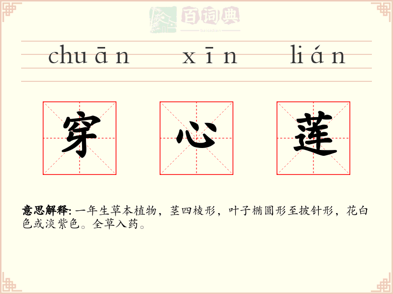 穿心莲