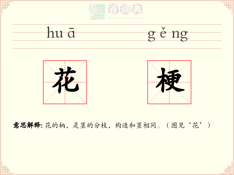 花梗