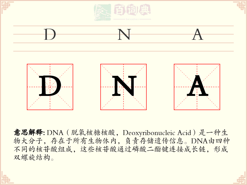 DNA