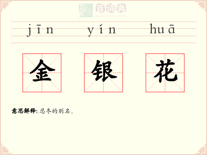 金银花