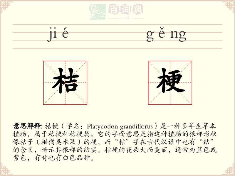 桔梗