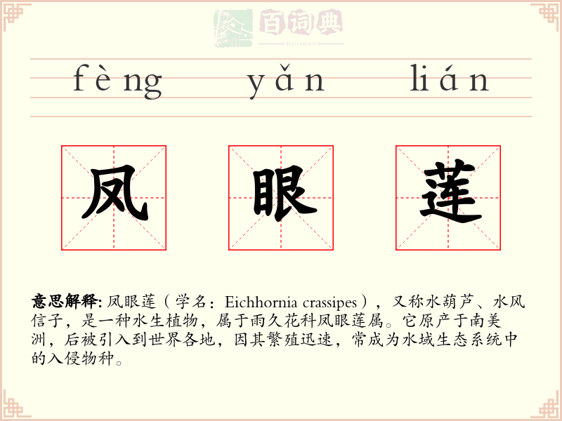 凤眼莲