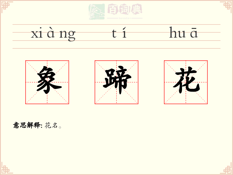 象蹄花