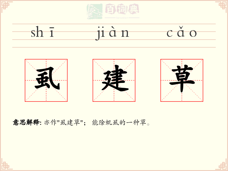 虱建草