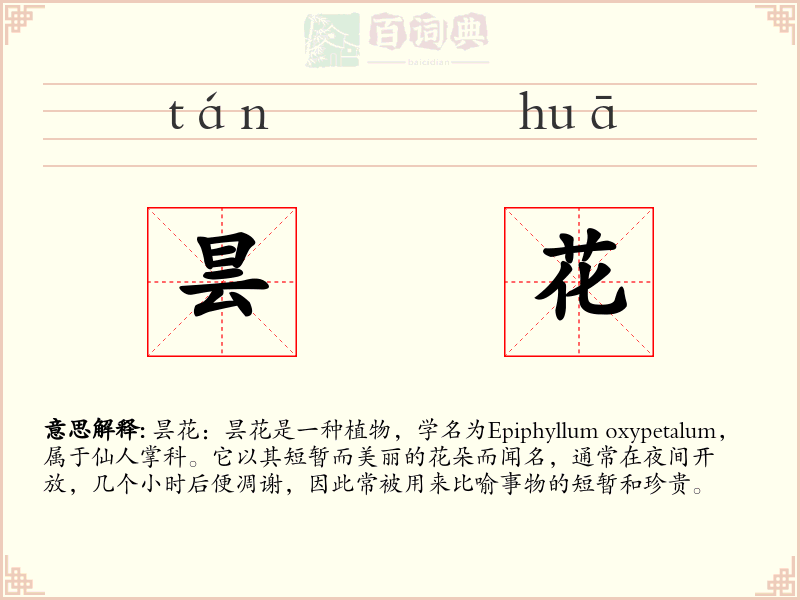 昙花