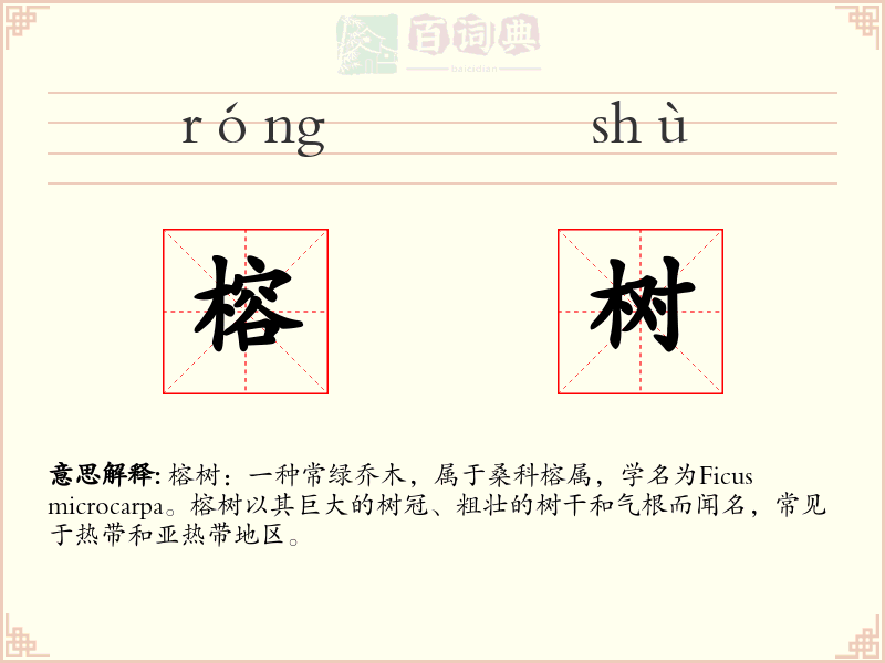 榕树