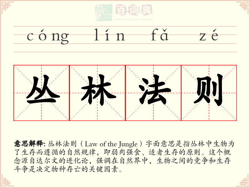 丛林法则