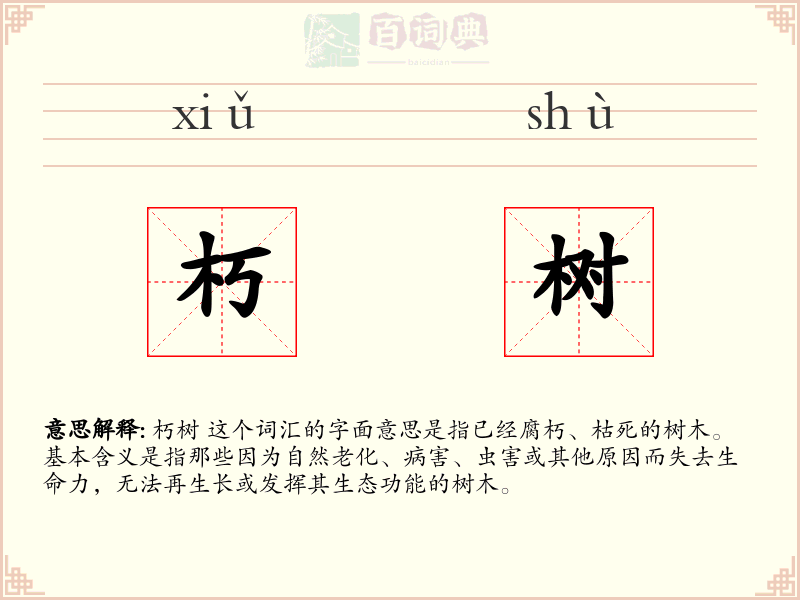 朽树