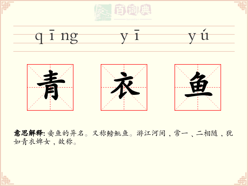 青衣鱼