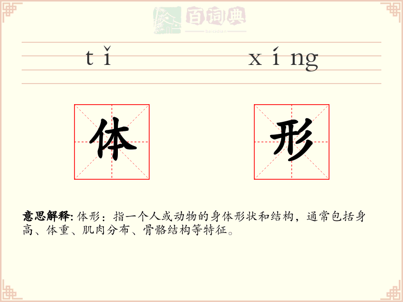 体形