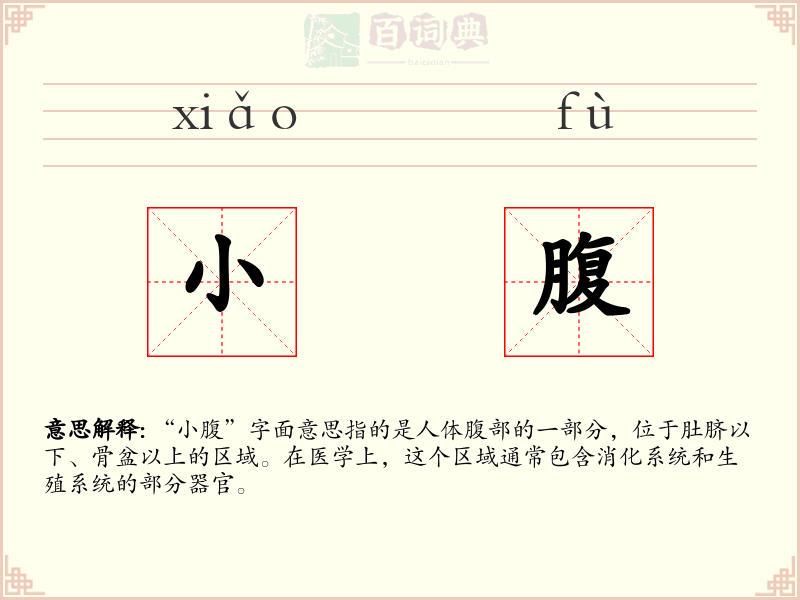 小腹