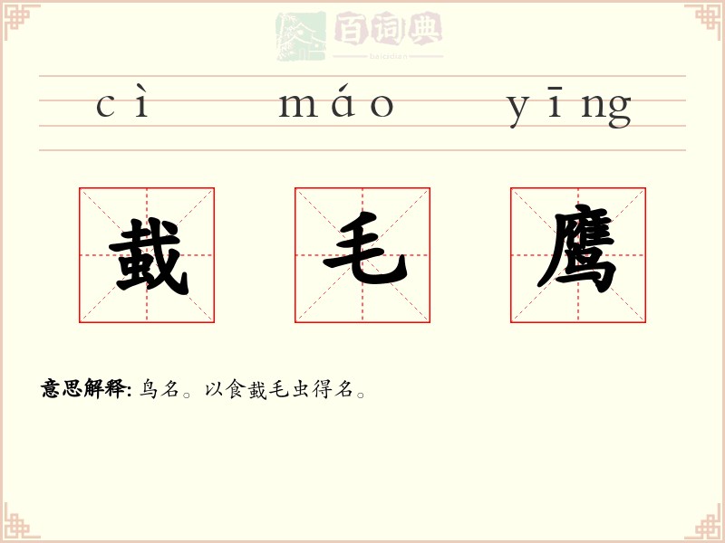 蛓毛鹰
