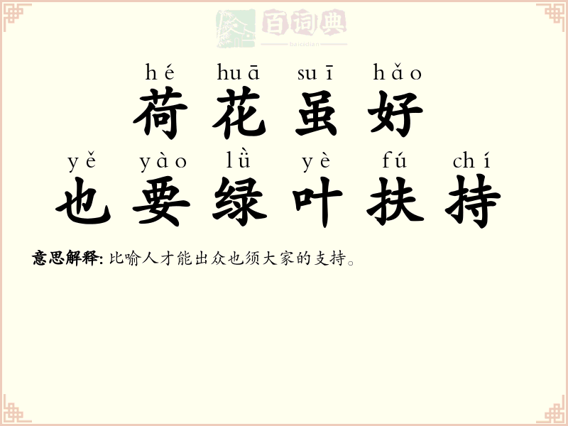 荷花虽好，也要绿叶扶持
